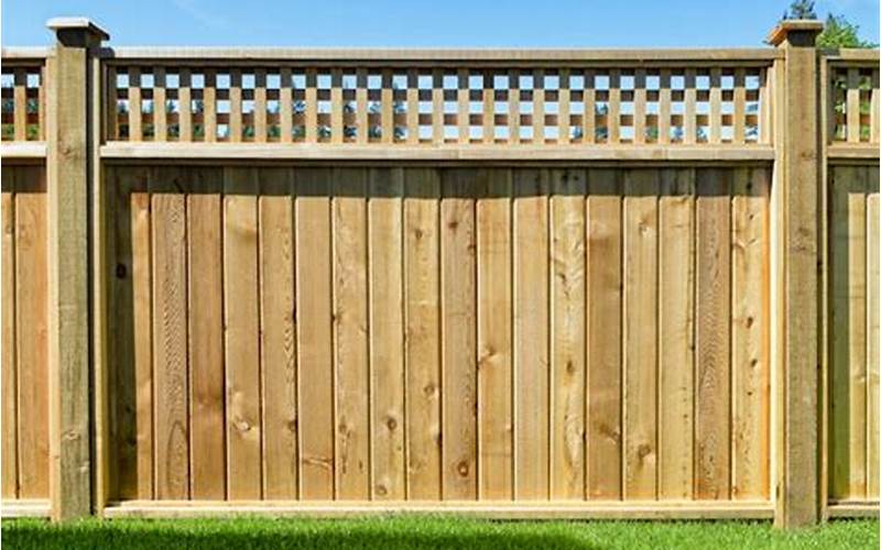 Privacy Fence Materials: What You Need To Know