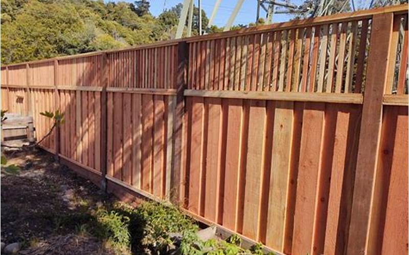 Privacy Fence Normal Height - Everything You Need To Know