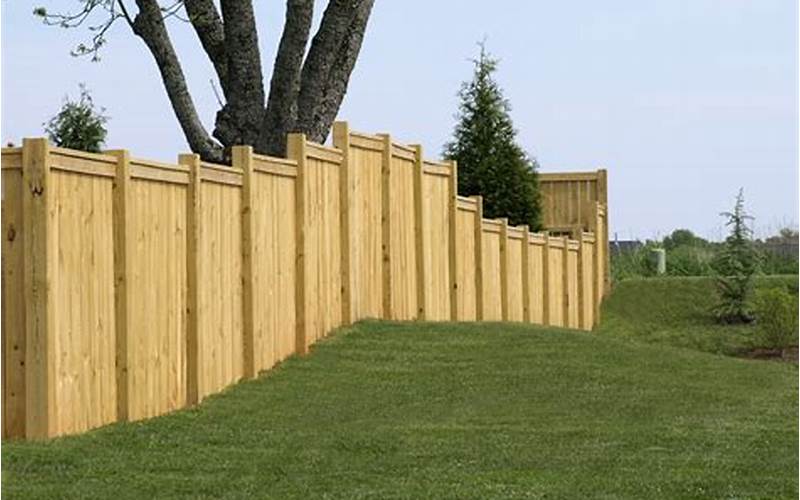 Privacy Fence To The Ground: Everything You Need To Know