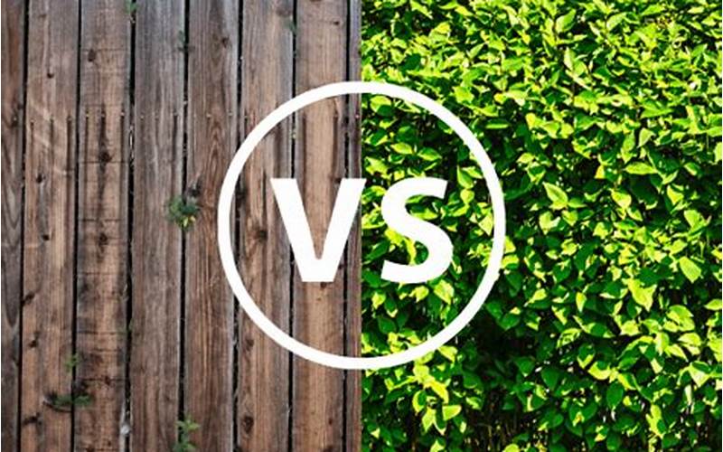 Privacy Hedge Vs Fence: Which One Is Right For You?