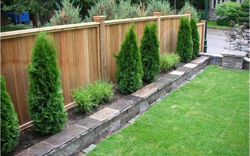 Privacy Landscaping Along Fence: Creating A Natural Barrier