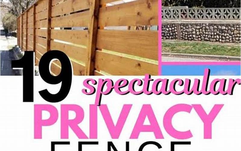 Privacy Outdoor Fence: The Ultimate Guide