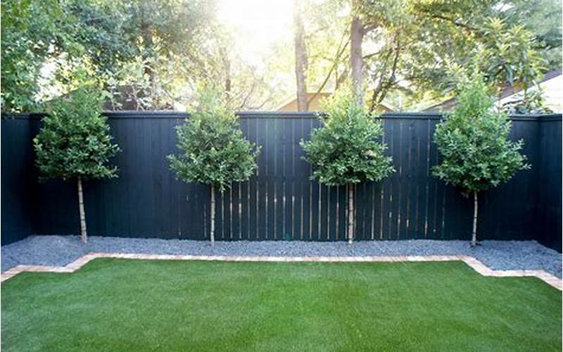 Privacy Plants Along Fence Narrow: Creating A Private Oasis