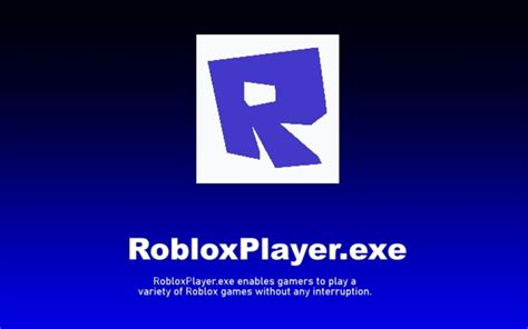 Privacy Policy - RobloxPlayer.exe