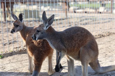 Private Dragonstone Experience