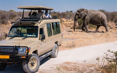 Private Guided Safari