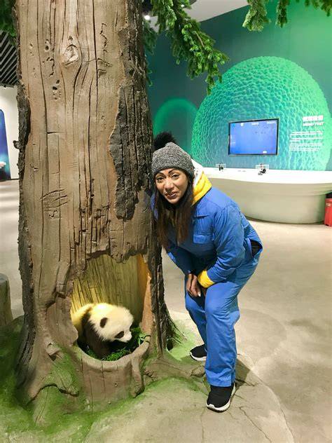 Private Panda Volunteering Learning Tour Wolong Base