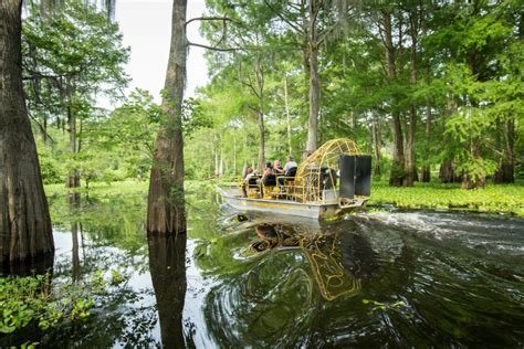Private Swamp Tour