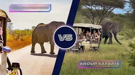 Private vs Group Safari