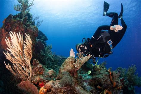 Privately Guided Scuba Trip