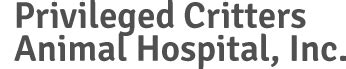 Top-rated Pet Care at Privileged Critters Animal Hospital: Experts in Veterinary Medicine and Compassionate Treatment