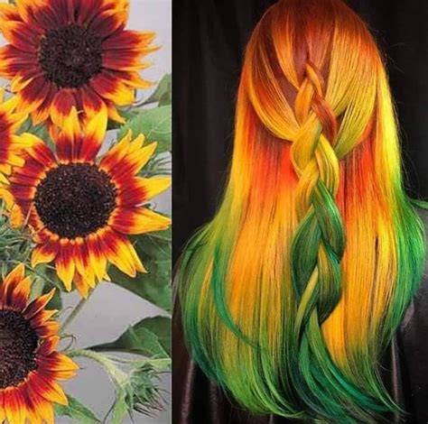 Pro Styles Hair Designs Color
