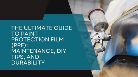 Pro Tips: Maintenance and Long-Term Protection