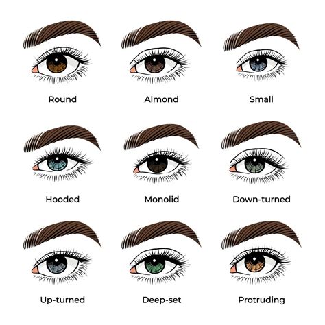Pro Tips for Maximizing Best Eye Shadow Wear