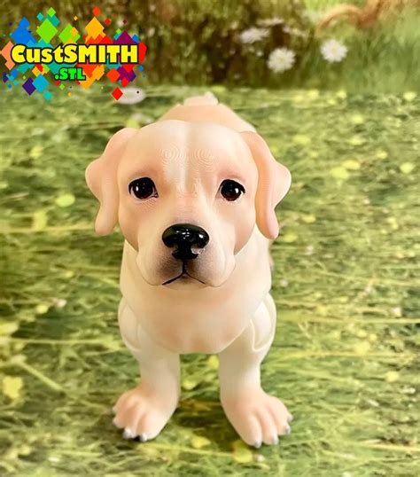 Pro Tips for Printing and Coloring Your Labrador Masterpiece