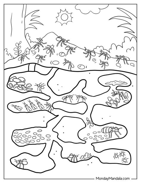 Pro Tips for the Best Ant Colouring Experience