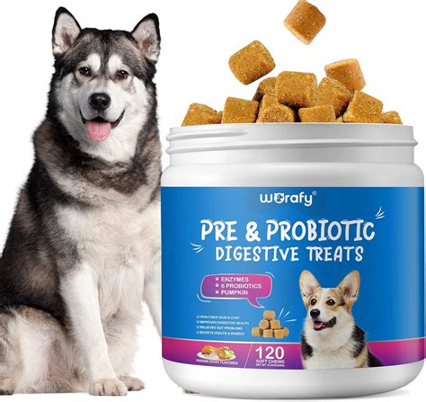 Say goodbye to sore and itchy dog skin with the miraculous healing powers of Probiotics!