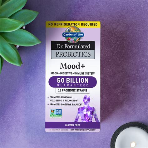 Probiotics and Mood
