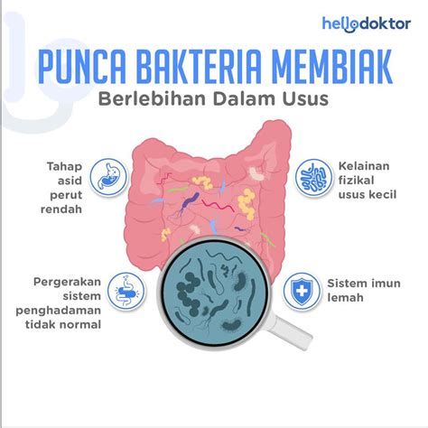 Probiotik untuk Cirit-birit