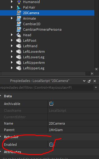 Problem with making 2D camera - Scripting Support - Developer 