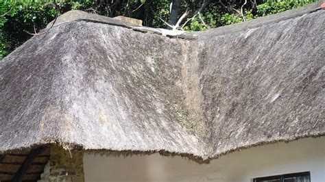 Problems with thatched roofs