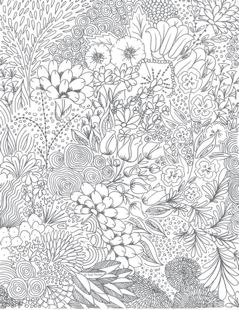 Procreate Coloring Pages Free Download