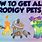 Prodigy Pets