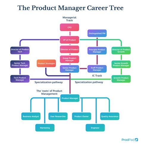 Product Manager Career Path