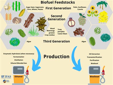 Production of Biofuels