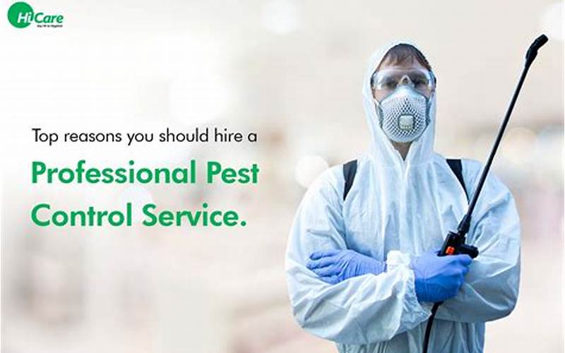 Professional Pest Control Image