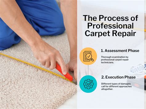 Professional Carpet Repair Services