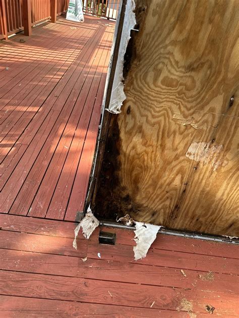 Professional Dry Rot Repair Services Seattle