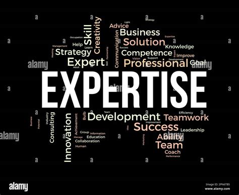 Professional Expertise and Efficiency