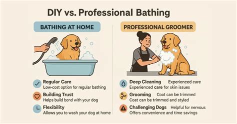 Professional Grooming vs. DIY Bathing
