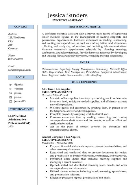 Professional Job Resume