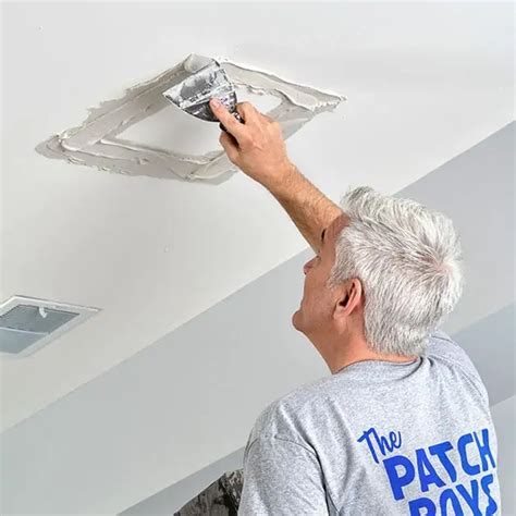Professional Plaster Repair Technician