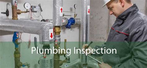 Professional Plumbing Inspection