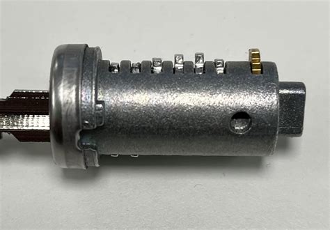 Professional Removal is Key