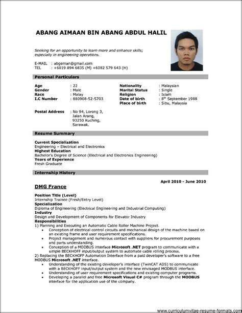 Professional Resume Job Resume Format Pdf
