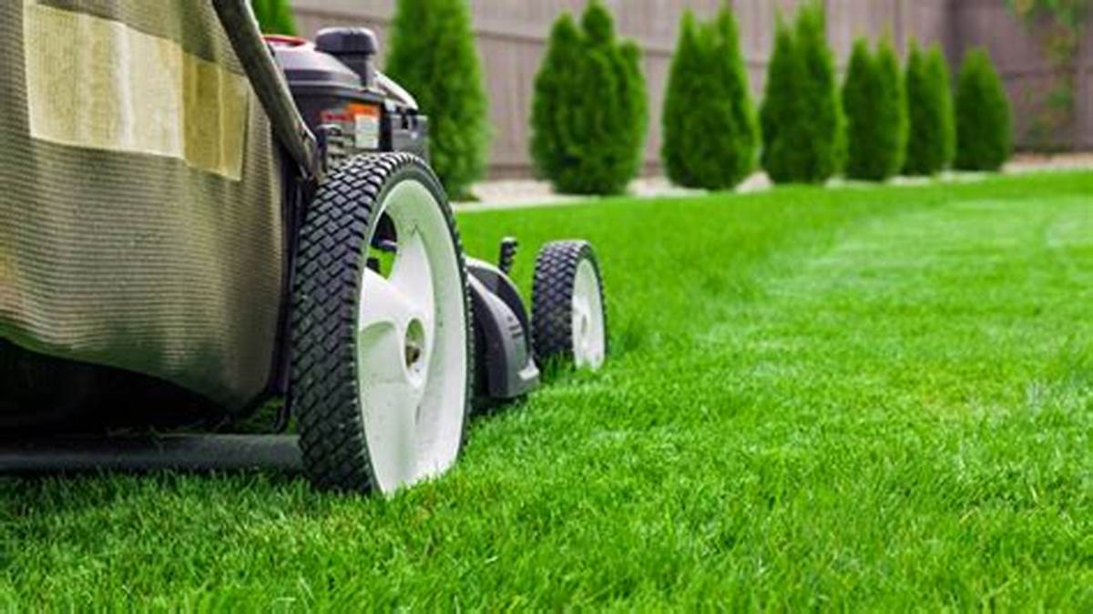 Benefits of professional lawn care