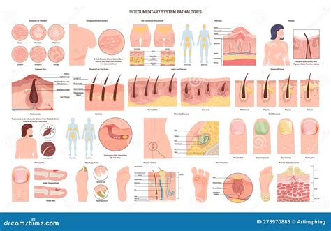 Profiles Hair Nail & Skin