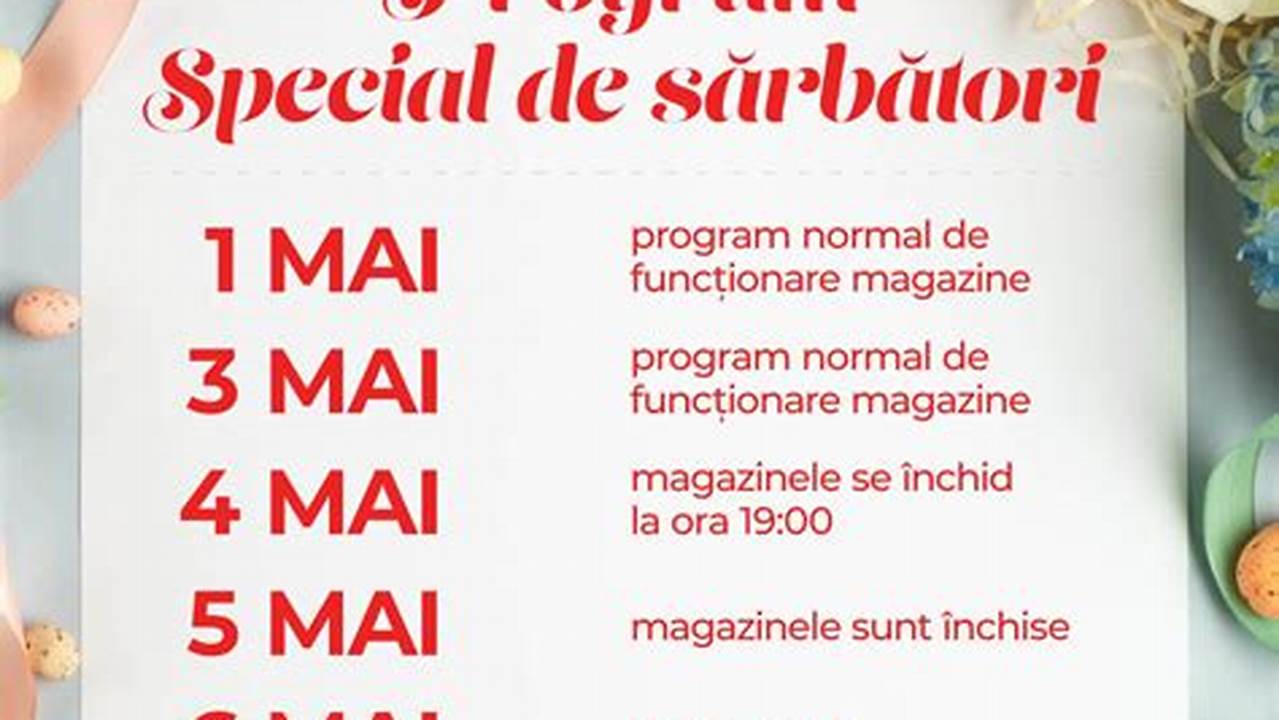 Program Mega Image Paste 2024 Lexus