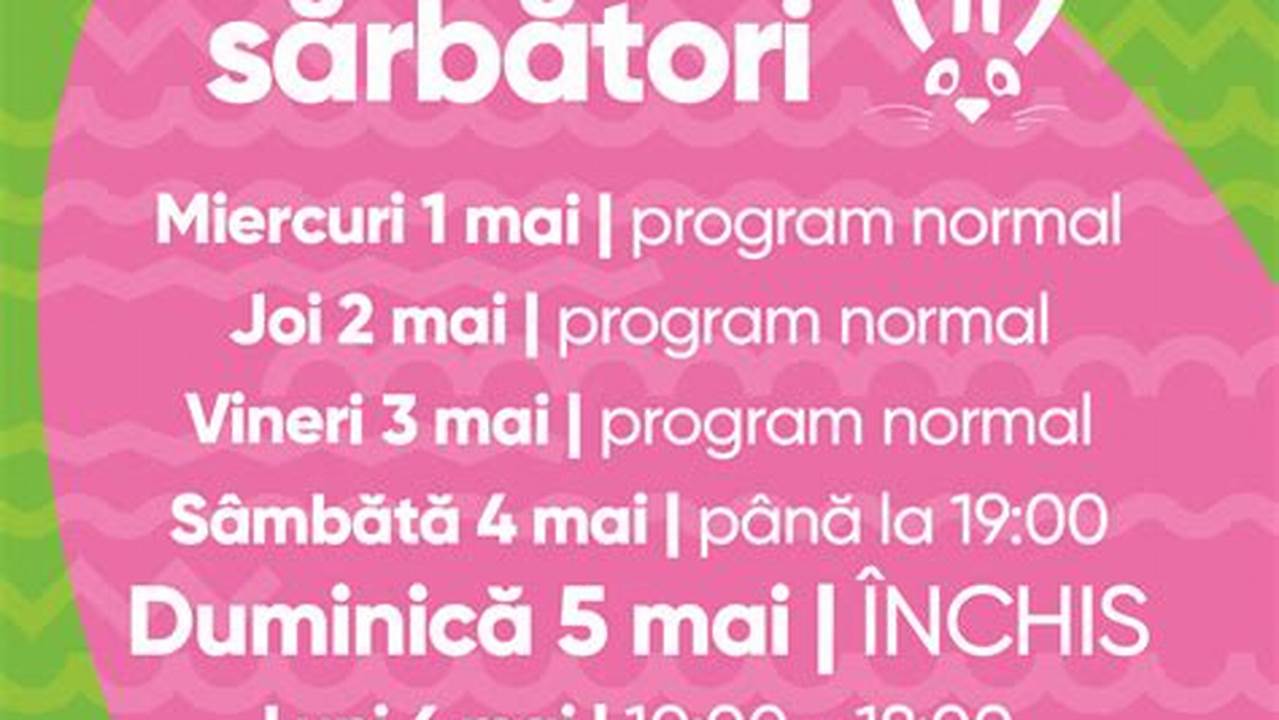 Program Profi Paste 2024 Manual