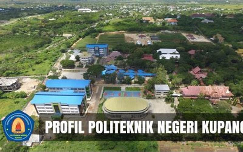 Program Studi Di Politeknik Negeri Kupang