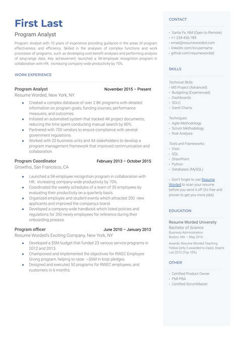 Program Analyst Resume Template