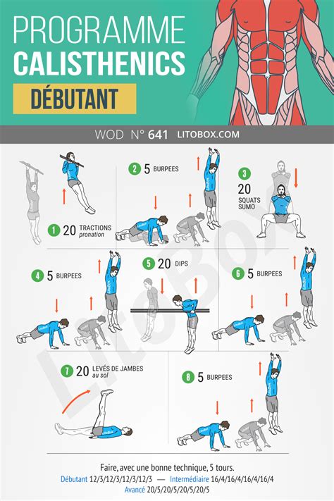 Programme Calisthenics Pdf