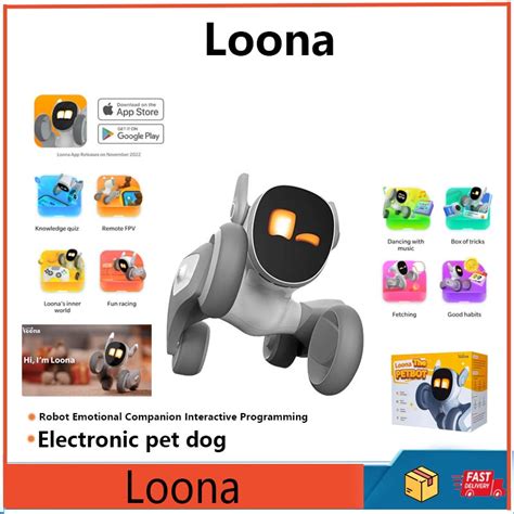 Programming Loona: Fun with the SDK