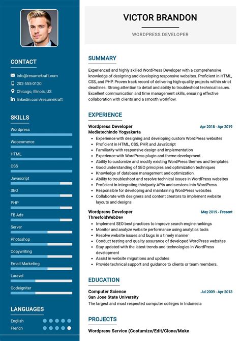 Programming Resume Template For Wordpress