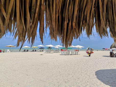 Progreso Beach Clubs