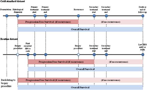 Understanding Progression-Free Survival: A Vital Concept in Cancer Care